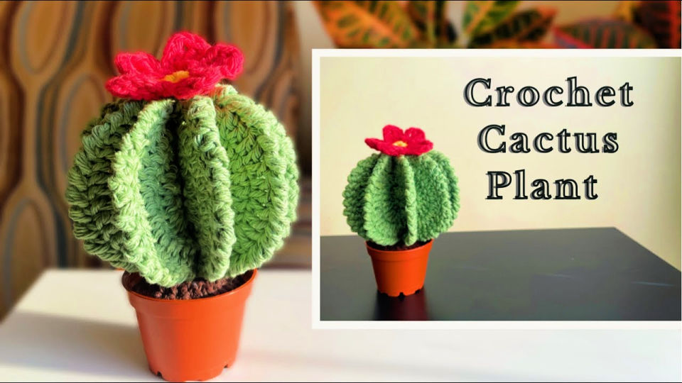 25 Free Crochet Cactus Patterns (Amigurumi Pattern)