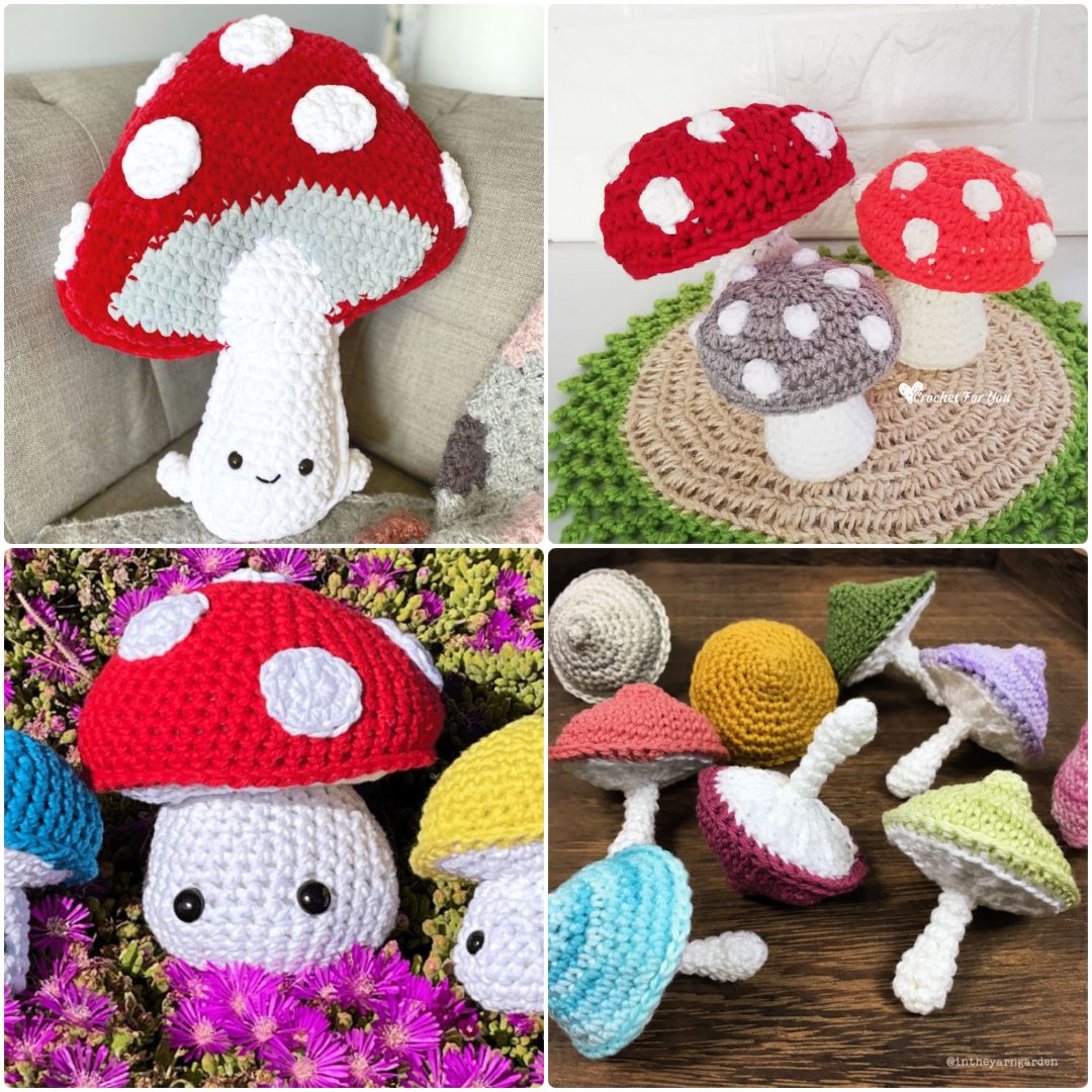 Mushroom Crochet Kit Amigurumi Mushroom, Easy Crochet Starter Kit