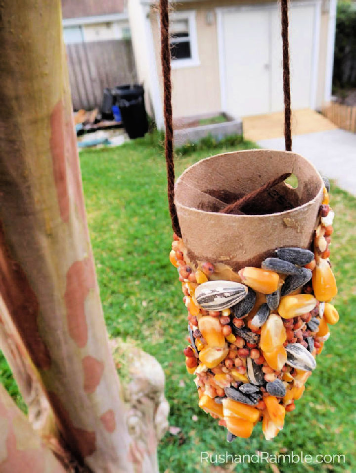 25 Free Homemade DIY Squirrel Feeder Plans