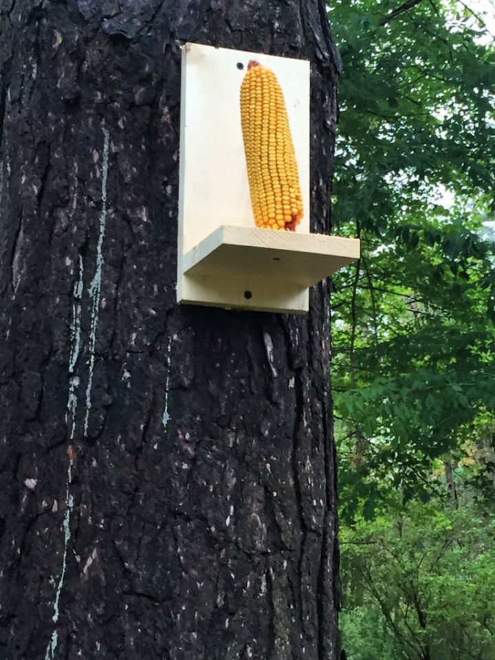 25 Free Homemade DIY Squirrel Feeder Plans