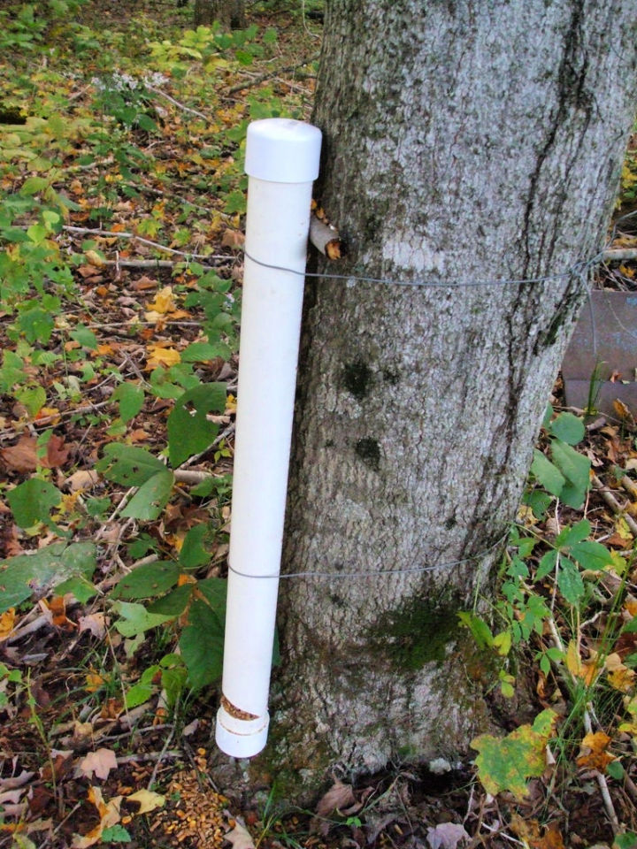 25 Homemade DIY Deer Feeder Ideas and Plans