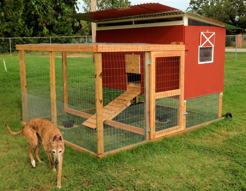 25 Free DIY Chicken Tractor Plans and Ideas to Build
