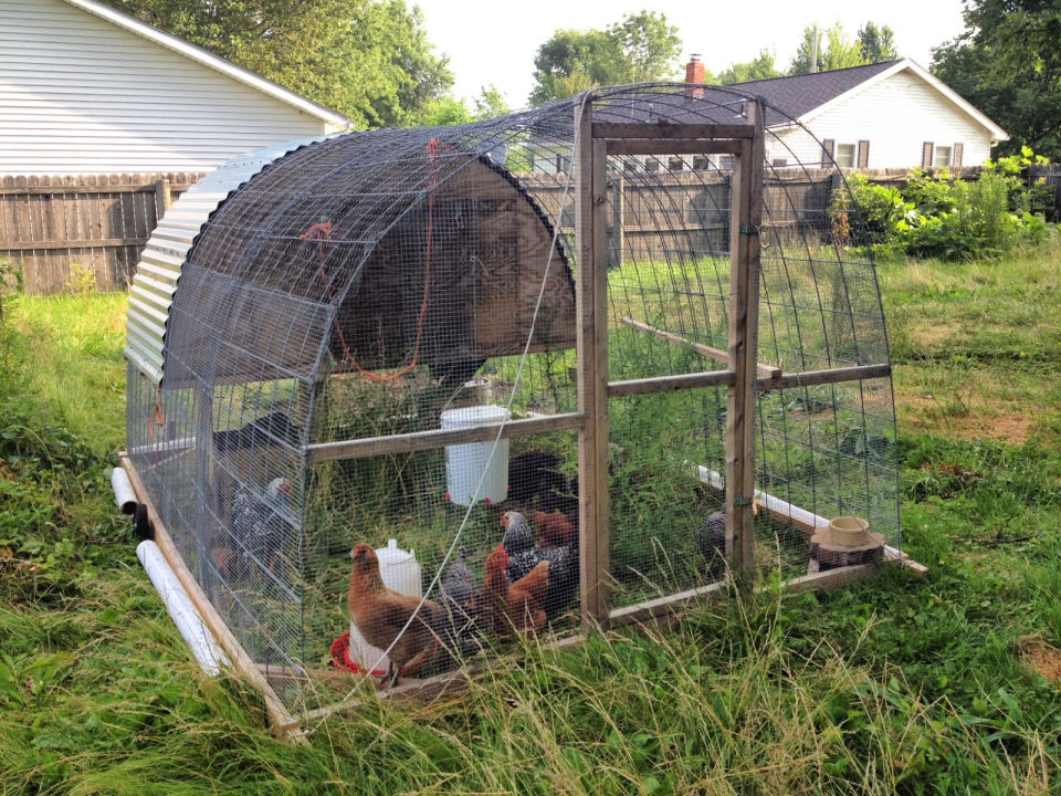 25 Free DIY Chicken Tractor Plans and Ideas to Build