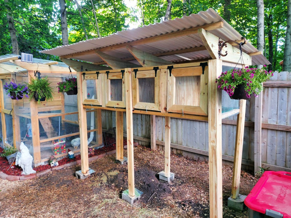 20 Homemade DIY Quail Cage Plans and Ideas