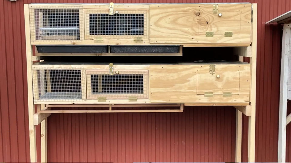 20 Homemade DIY Quail Cage Plans and Ideas