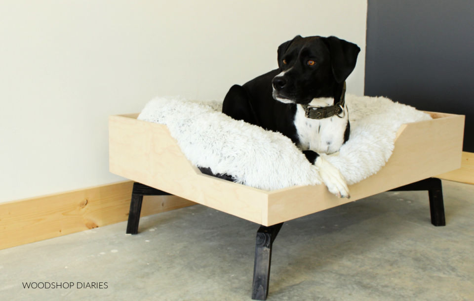 15 Free DIY Raised Dog Bed Plans