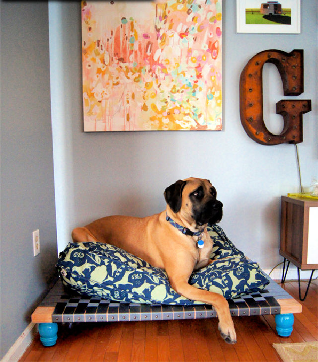 15 Free DIY Raised Dog Bed Plans